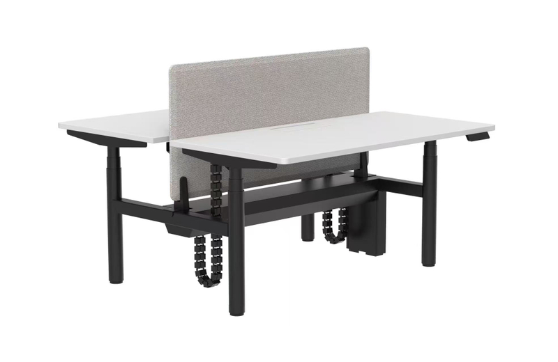 Dual-person Height Adjustable Desk