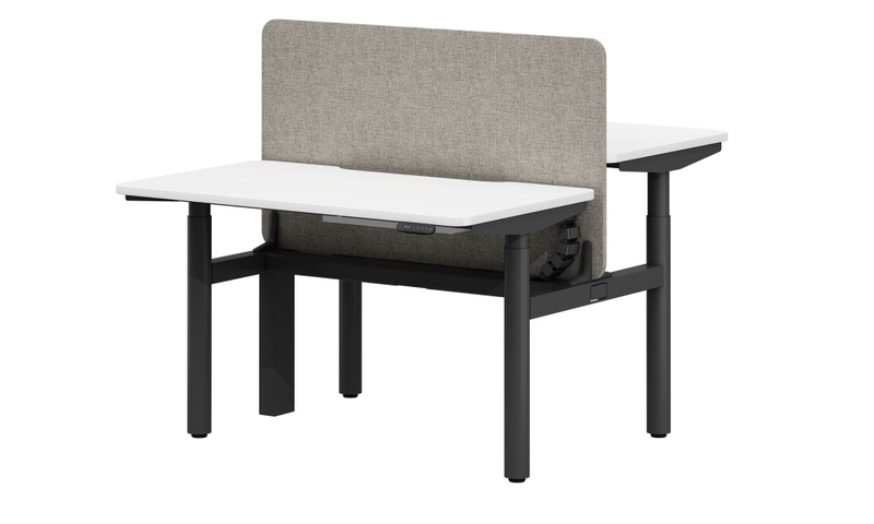 Dual-person Height Adjustable Desk