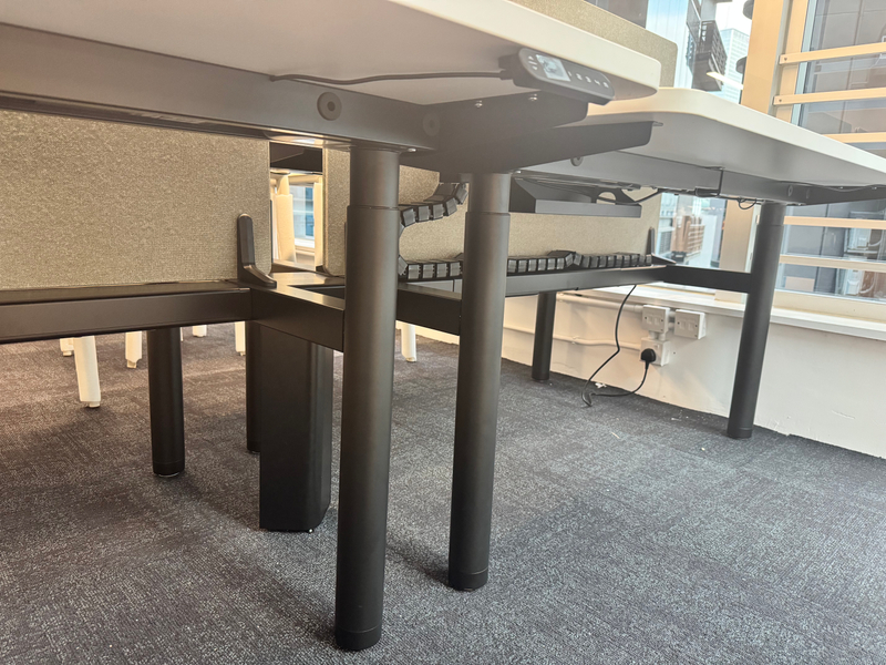 Dual-person Height Adjustable Desk